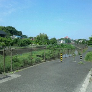 o0480048011995906289