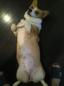 o0480064012083285565