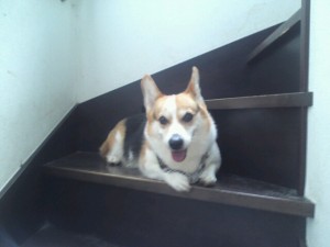 o0640048012083285359