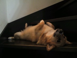 o0640048012083285747