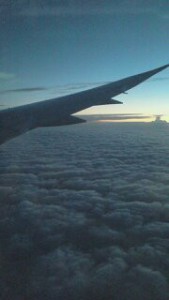 t01800320_0180032012696474496