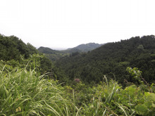 t02200165_0480036012061109867