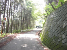 t02200165_0480036012061109868