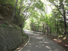 t02200165_0480036012061122468