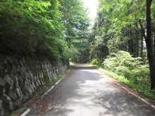 t02200165_0480036012061134198