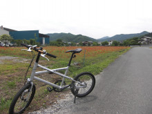 t02200165_0480036012061151942