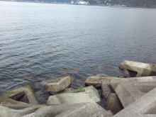 t02200165_0653049012014120543