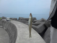 t02200165_0653049012014126495