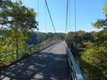 t02200165_0653049012283016741