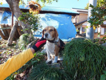 t02200165_0653049012283025567