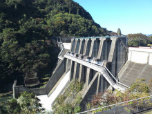 t02200165_0800060012282961788