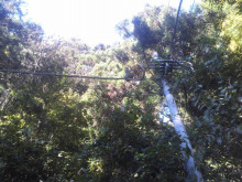 t02200165_0800060012282962672