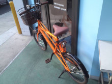 t02200165_0800060012450403488