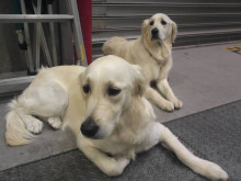 t02200165_0800060012609124085