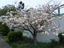 t02200165_0800060012915556157