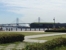 t02200165_0800060012946046339