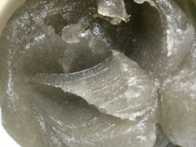 t02200165_0800060012985946230