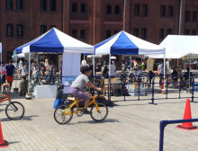 t02200169_0800061312946046342