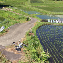 t02200220_0800080013332871644