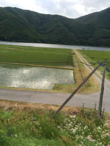 t02200293_0735098013332871136