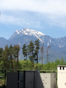 t02200293_0800106712942767076