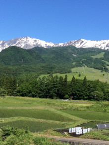 t02200293_0800106713332872262