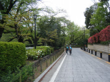 t02200165_0800060012915596500