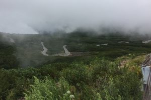 20160828_013312508_iOS