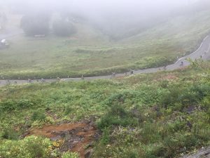 20160828_015941471_iOS